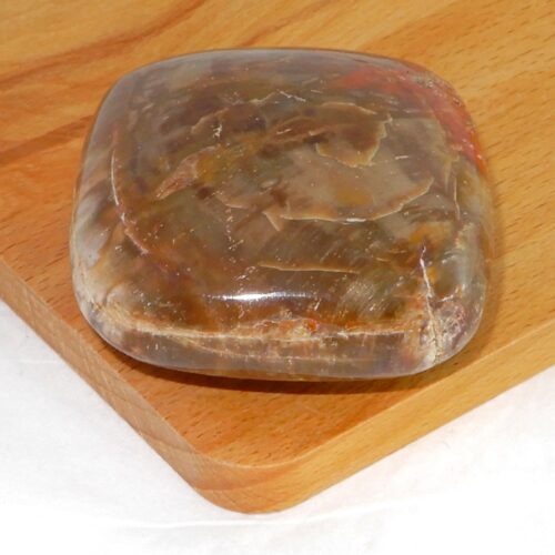 versteend-hout-kussensteen-5cm Versteend hout kussensteen