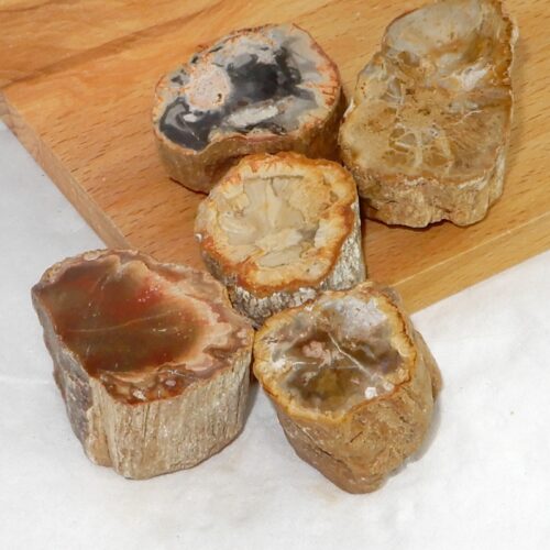 versteend-hout-ruw-klein Versteend hout ruw