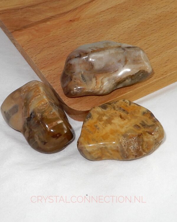 versteend-hout-trommelsteen-groot Versteend hout trommelsteen