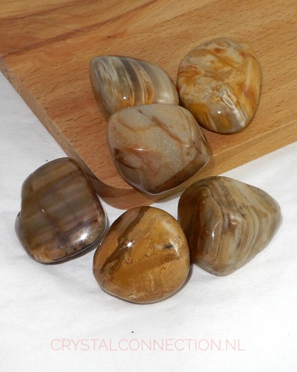 versteend-hout-trommelsteen-klein Versteend hout trommelsteen