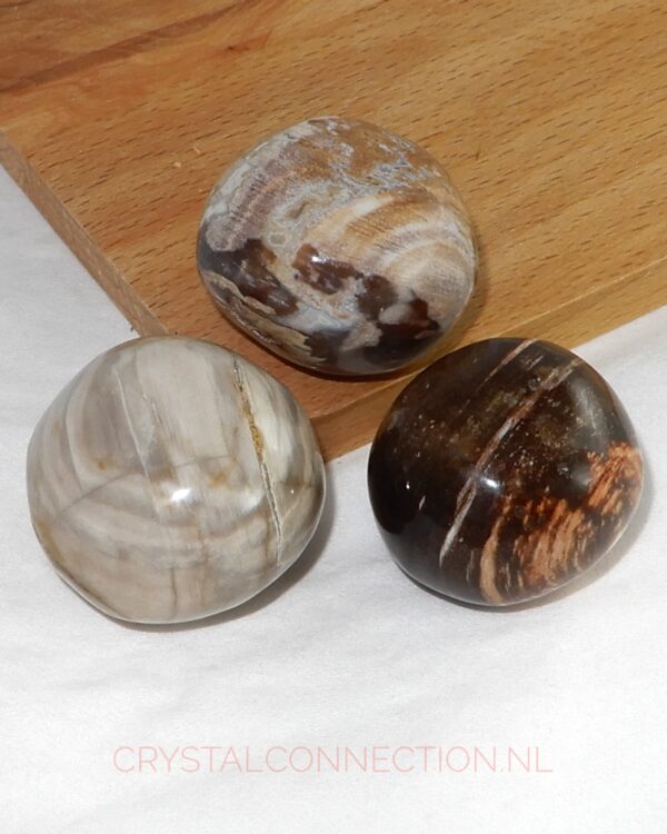 versteend-hout-trommelsteen-rond-groot Versteend hout trommelsteen