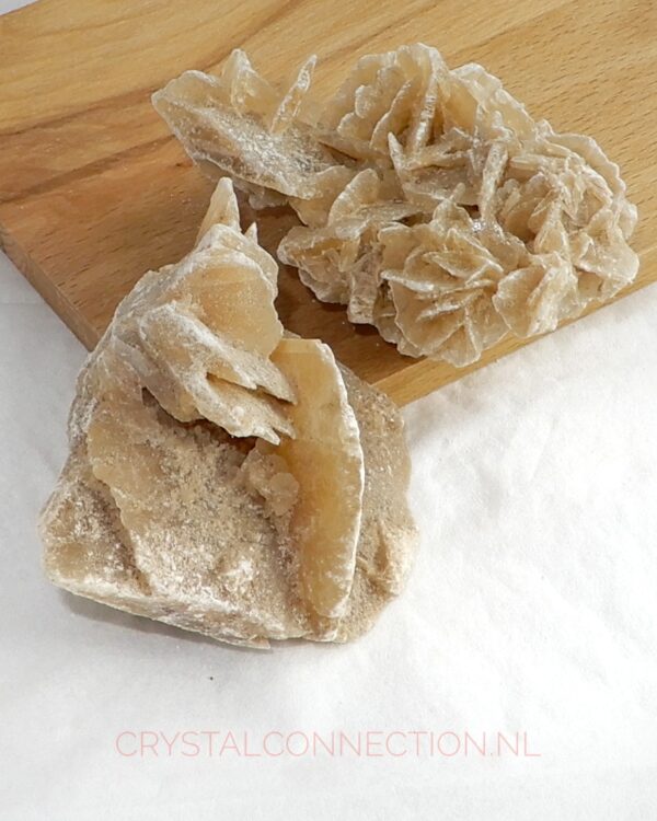 woestijnroos-ruw-klein Woestijnroos ruw