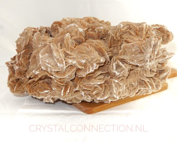 woestijnroos-ruw-no2-249.00-voorkant-scaled Woestijnroos ruw