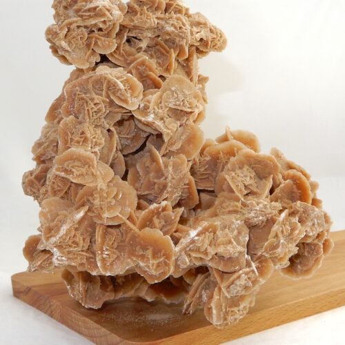 woestijnroos-ruw-nr1-40.00 Woestijnroos ruw