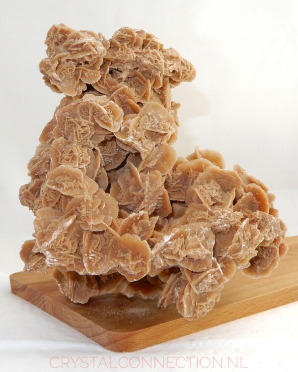 woestijnroos-ruw-nr1-40.00 Woestijnroos ruw