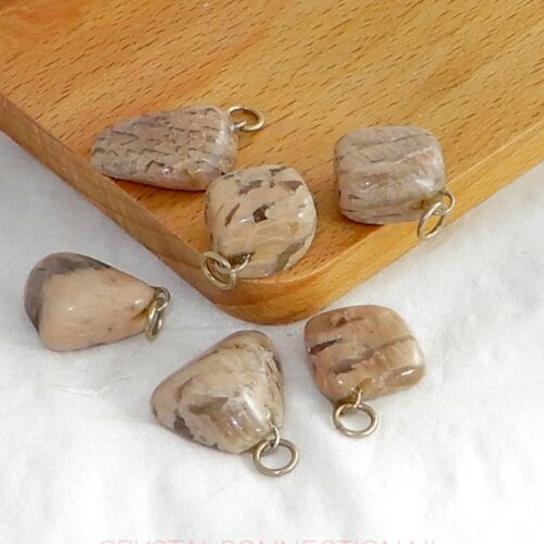 zebradoriet-hanger Zebradoriet hanger