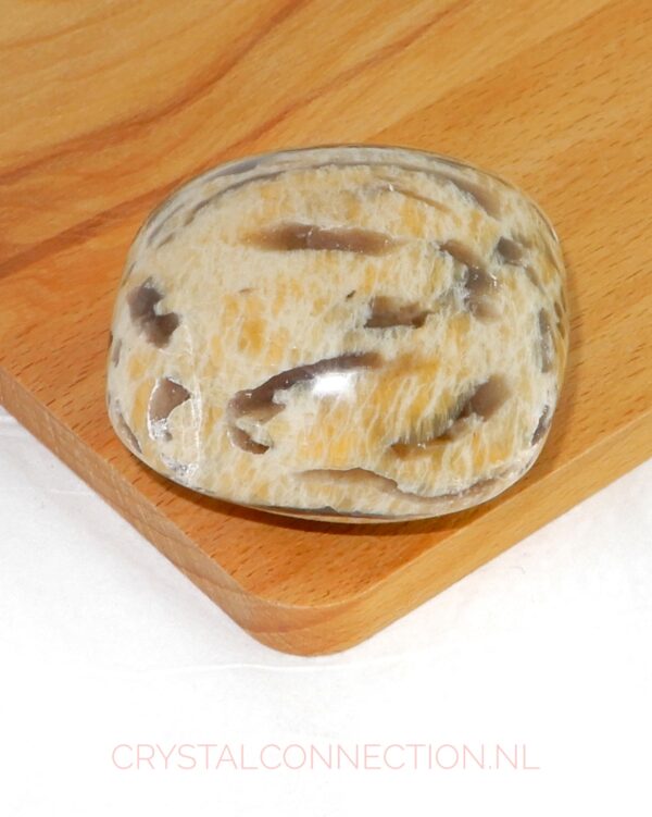 zebradoriet-kussensteen-5cm Maansteen kussensteen