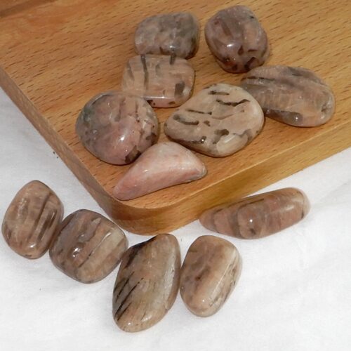 Zebradoriet trommelsteen