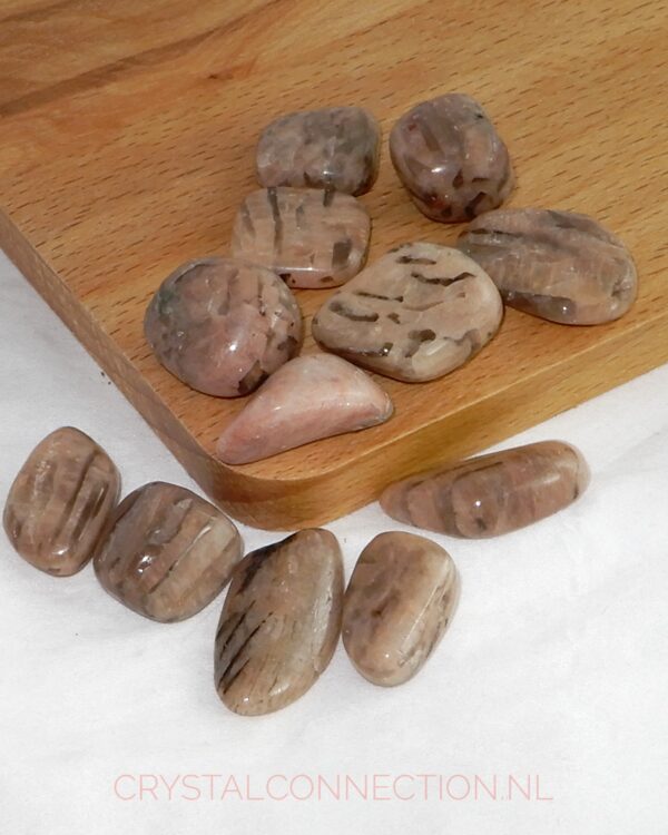 Zebradoriet trommelsteen